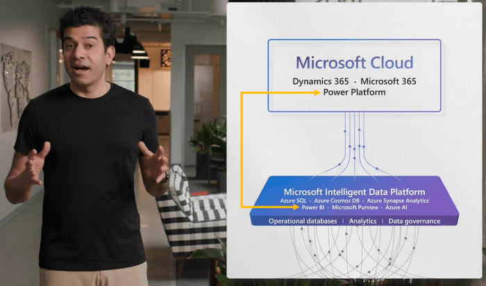 The Microsoft Intelligent Data Platform – Welcome to the Blog of Paul ...
